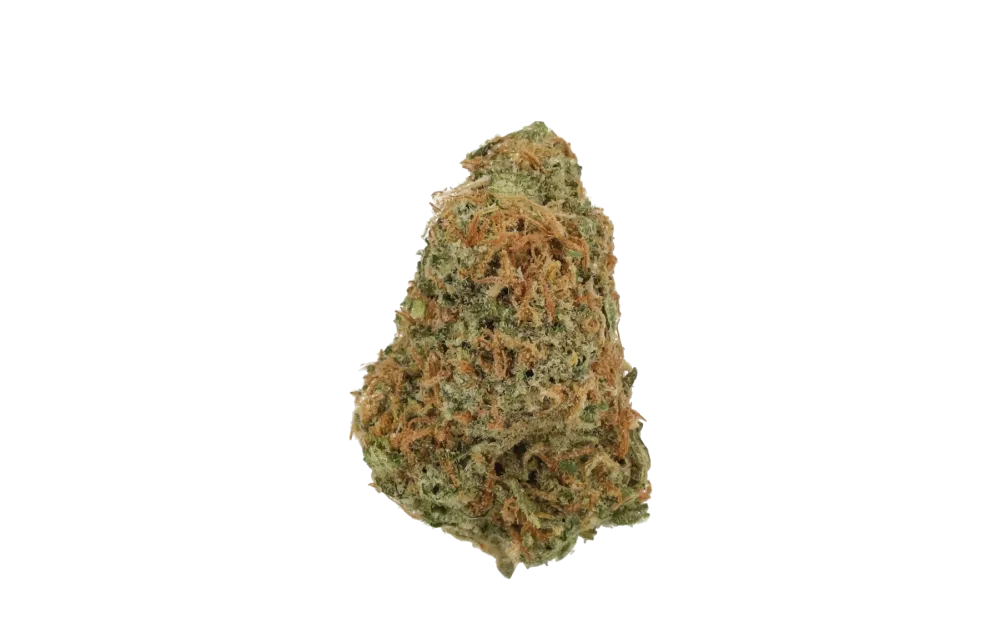 CM ⁠Sativa Classic NM Gelato Dream