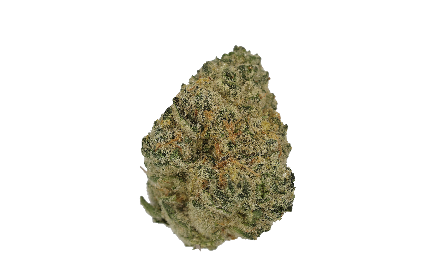 CM Sativa Ultra NM Polar Cookies